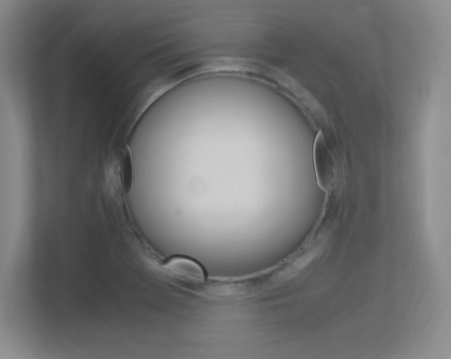 X0000113371369200909151018