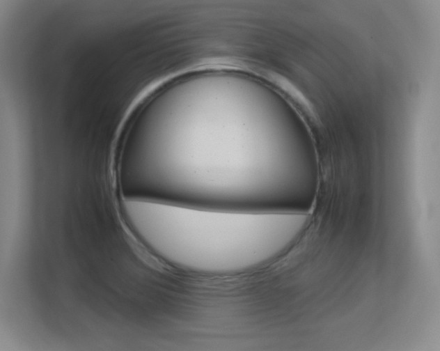 X0000113371372200909151018
