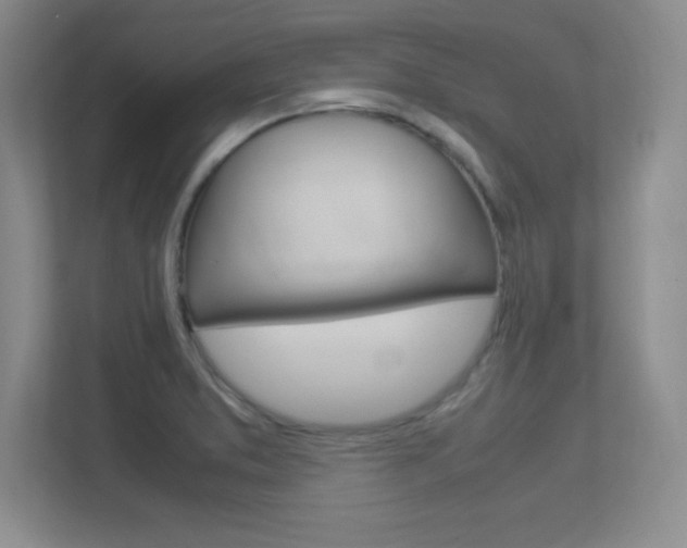 X0000113371373200909151018