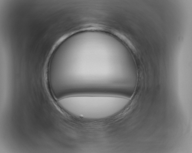 X0000113371375200909151018