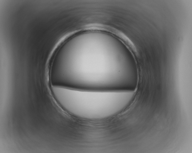 X0000113371376200909151018