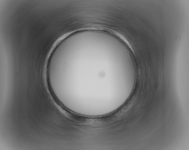 X0000113371379200909151018