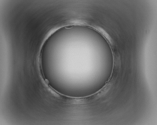 X0000113371381200909151018