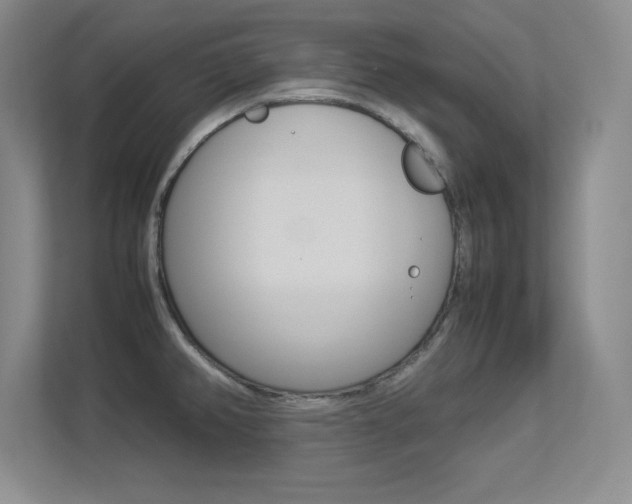 X0000113371382200909151018