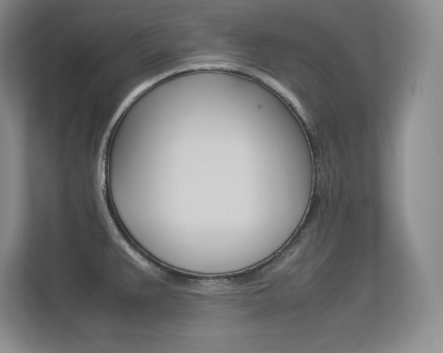 X0000113371383200909151018