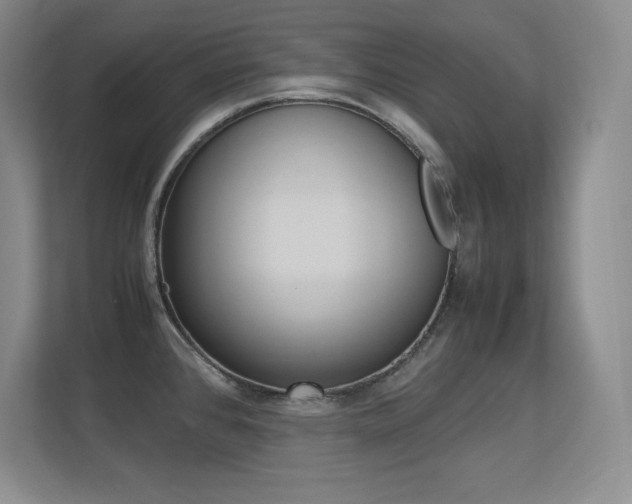 X0000113371384200909151018