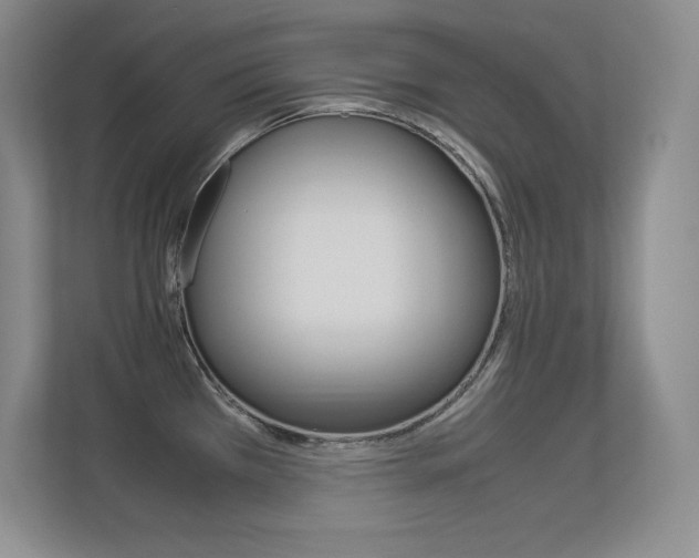 X0000113371385200909151018
