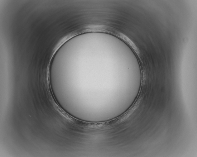 X0000113371386200909151018