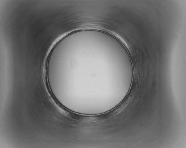 X0000113371387200909151018
