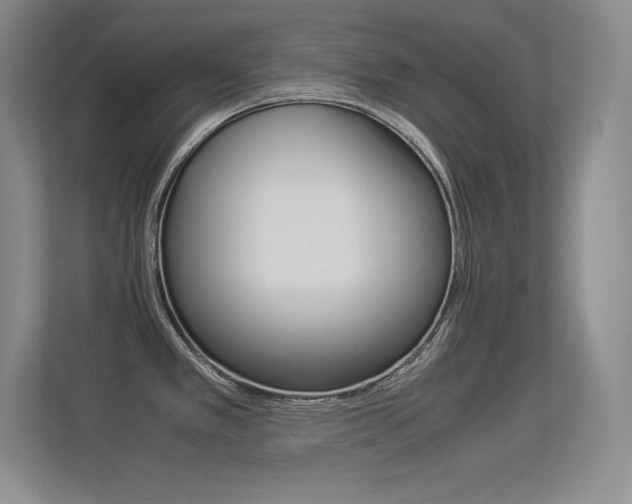 X0000113371389200909151018