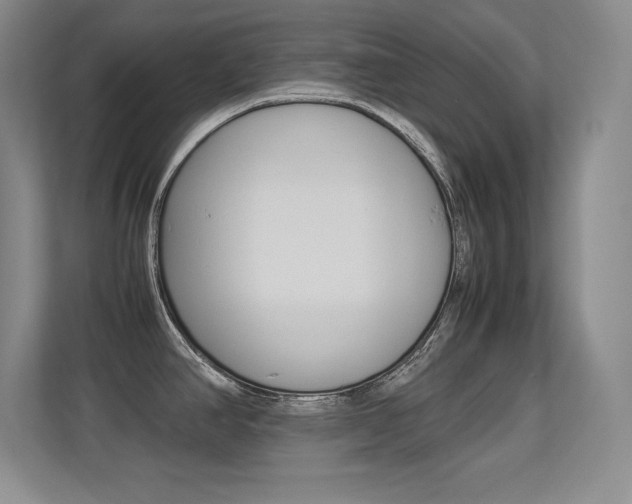 X0000113371390200909151018