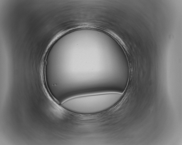 X0000113371391200909151018
