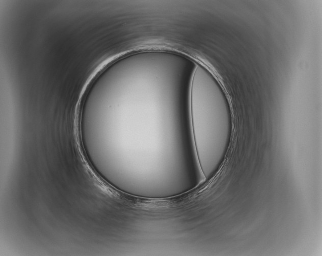 X0000113371392200909151018