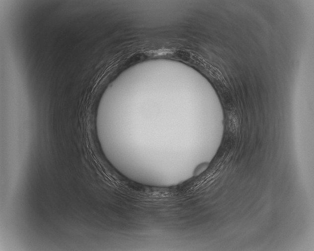 X0000113371393200909151017