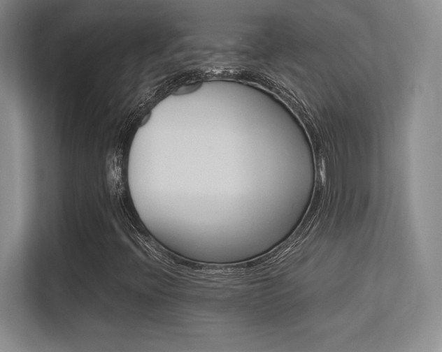 X0000113371396200909151017