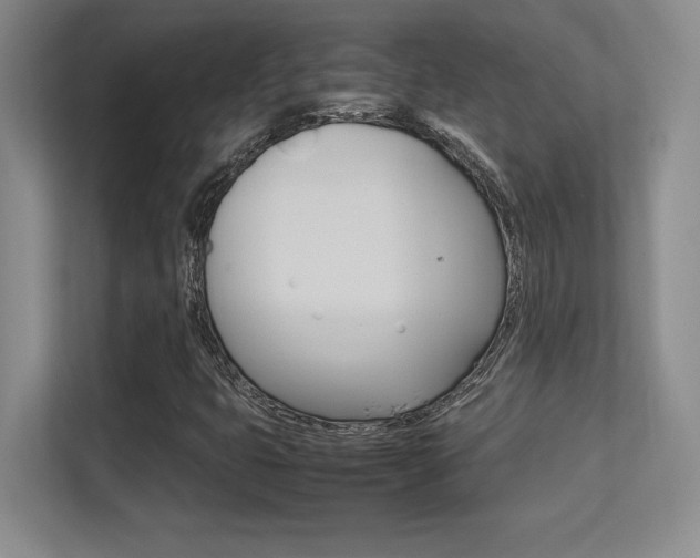 X0000113371399200909151017