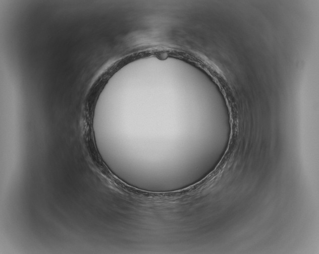 X0000113371400200909151017