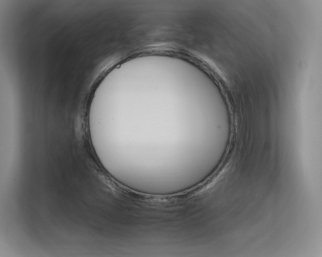 X0000113371405200909151017