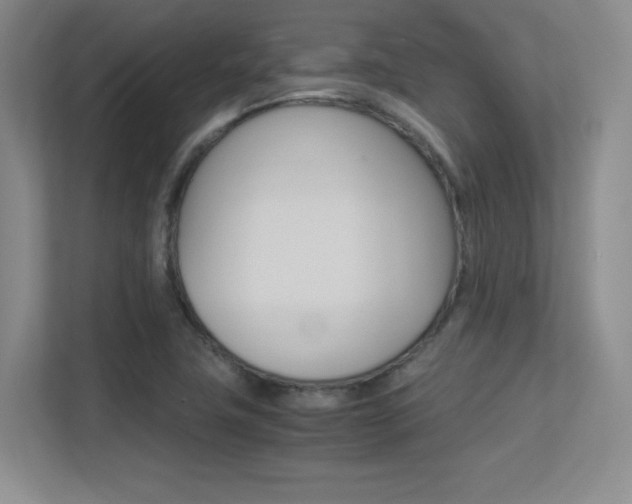 X0000113371411200909151017