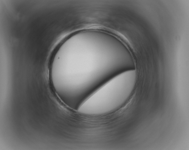 X0000113371414200909151017