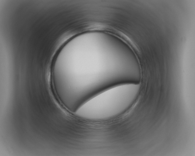X0000113371418200909151017
