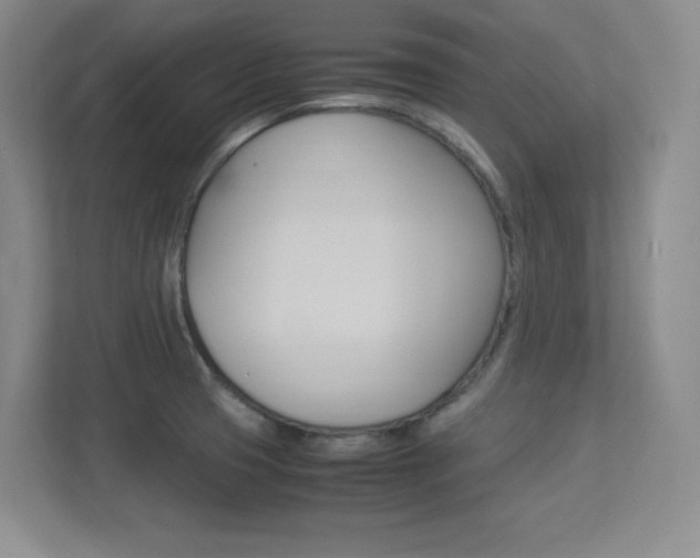 X0000113371425200909151018