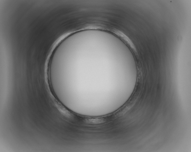 X0000113371427200909151018