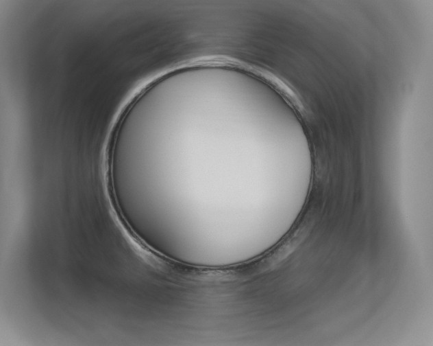 X0000113371430200909151018