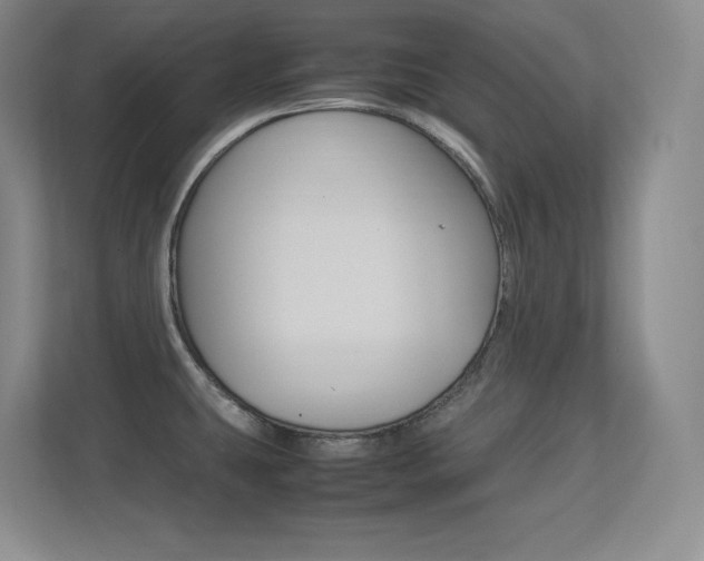 X0000113371431200909151018