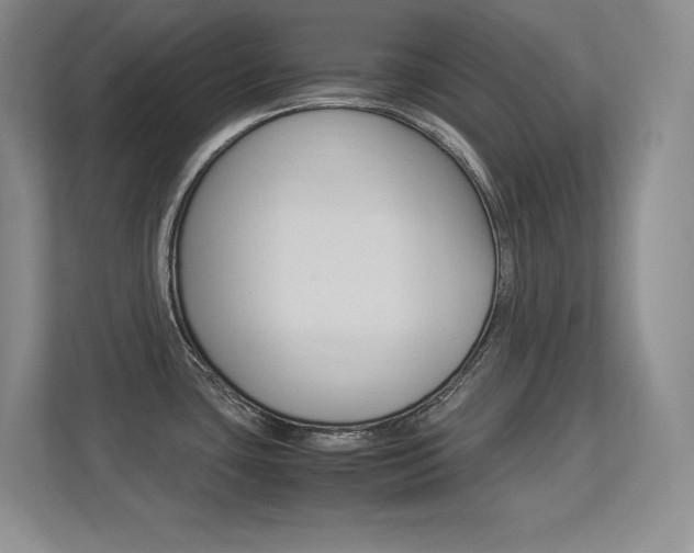 X0000113371435200909151018