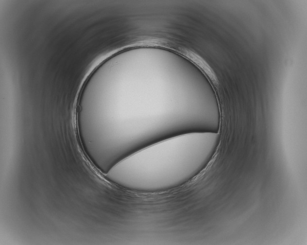 X0000113371436200909151018