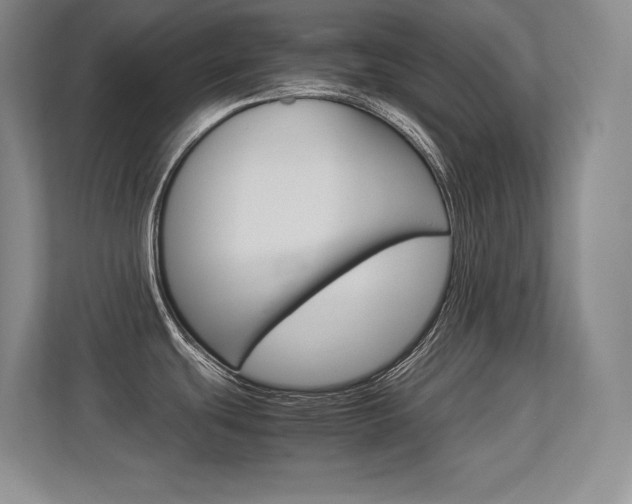 X0000113371439200909151018