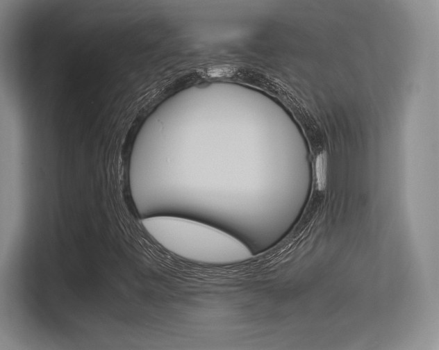 X0000113371443200909151017