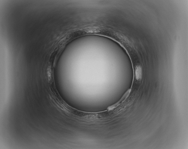 X0000113371444200909151017