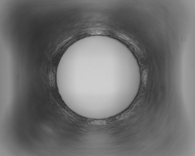 X0000113371446200909151017