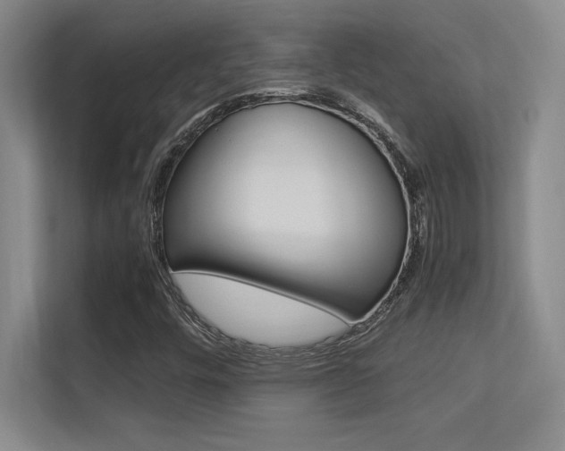 X0000113371448200909151017