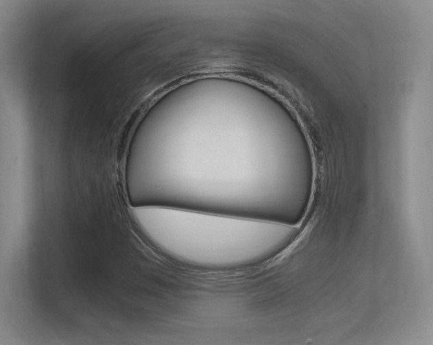 X0000113371449200909151017