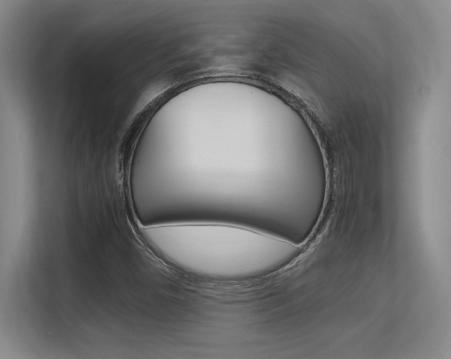 X0000113371450200909151017
