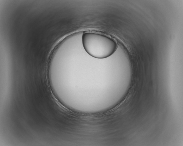 X0000113371452200909151017