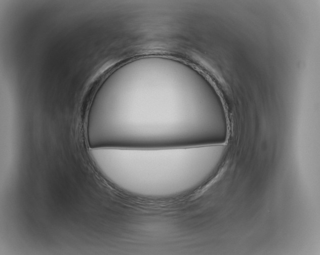 X0000113371453200909151017