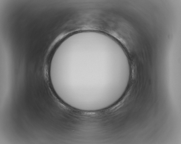 X0000113371454200909151017