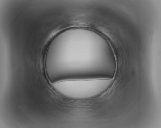 X0000113371455200909151017