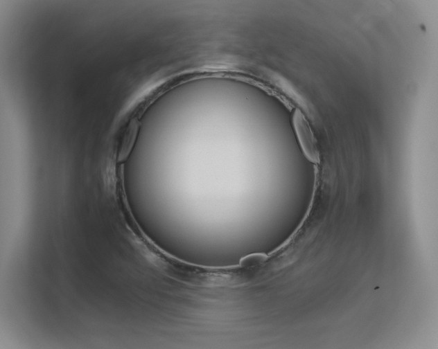 X0000113371456200909151017