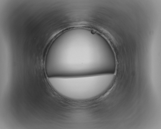 X0000113371457200909151017