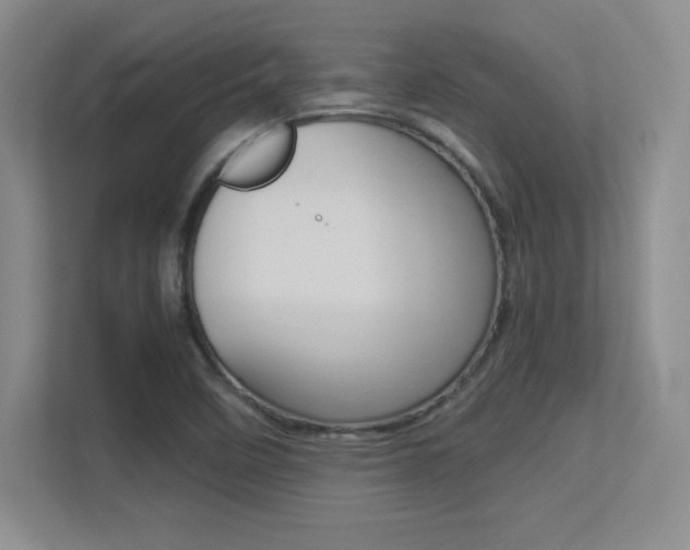 X0000113371458200909151017