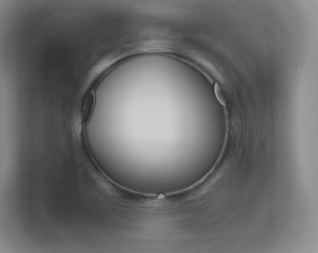 X0000113371461200909151017