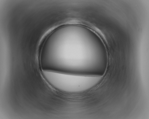 X0000113371464200909151017