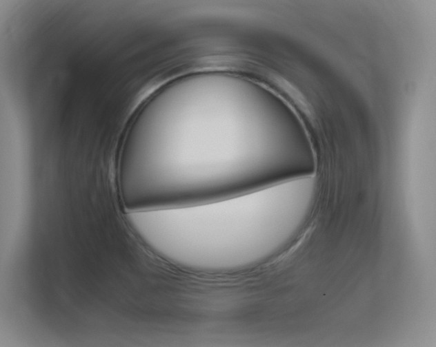 X0000113371465200909151017