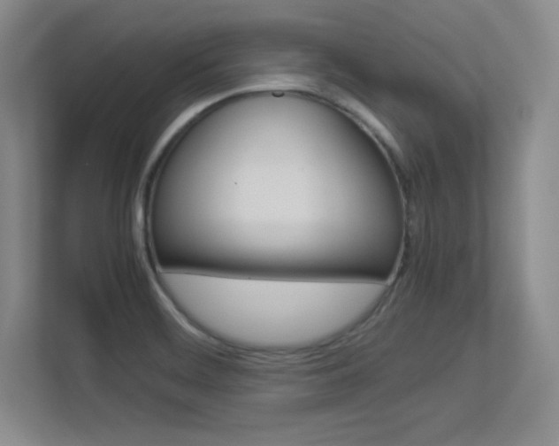 X0000113371468200909151017