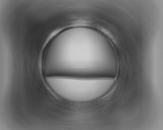X0000113371469200909151017